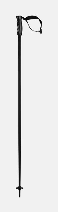 Produktbild Head Ski Pole Multi 2024 (125 cm)