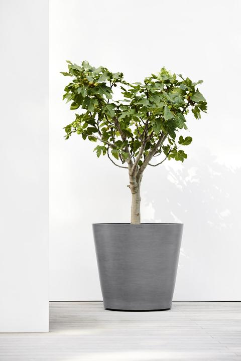 Produktbild Ecopots Amsterdam (80 cm)
