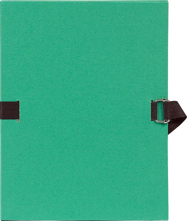 Actual product image Exacompta Folders with stretchable spine (A4, 250 x)