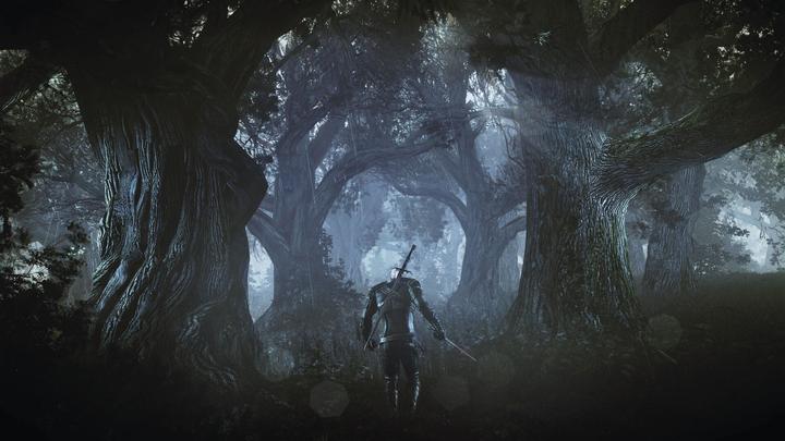 Produktbild The Witcher 3 : Wild Hunt