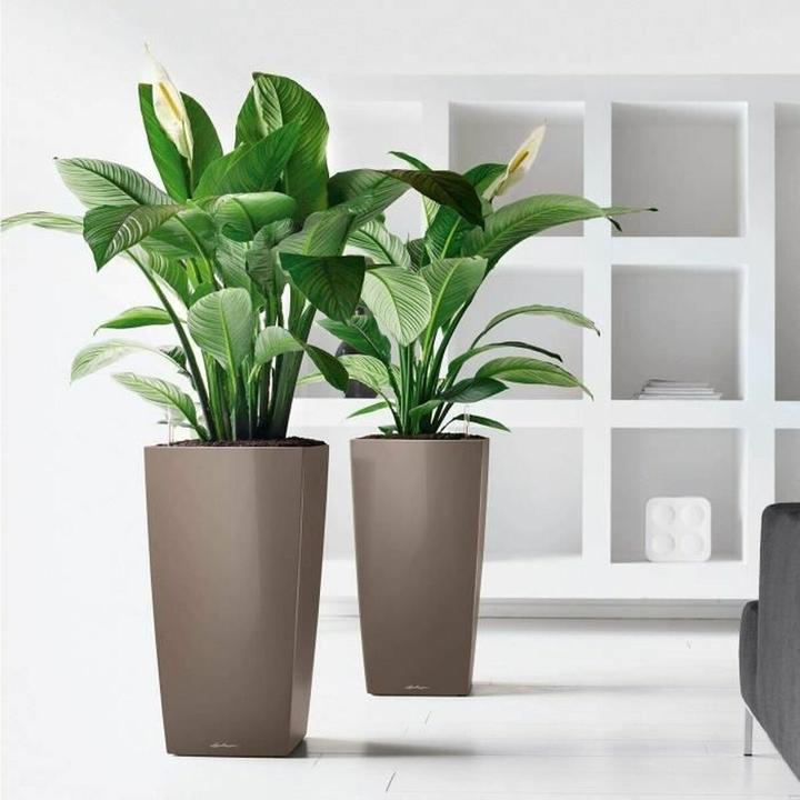 Produktbild Lechuza Cubico (50 x 50 x 94 cm)