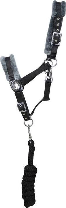 Hy Equestrian Halfter und Führstrick