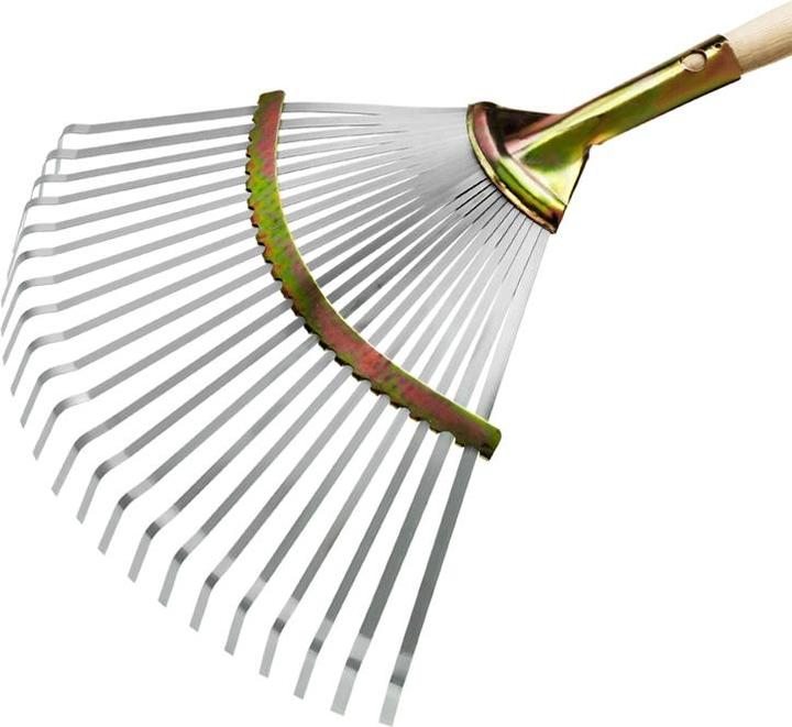 Actual product image Flora Fan broom