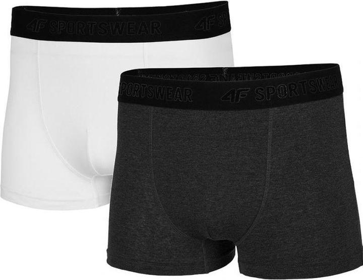 Produktbild 4F NOSH4BIM001 Boxershorts (2erPack) (S, 2er Pack)