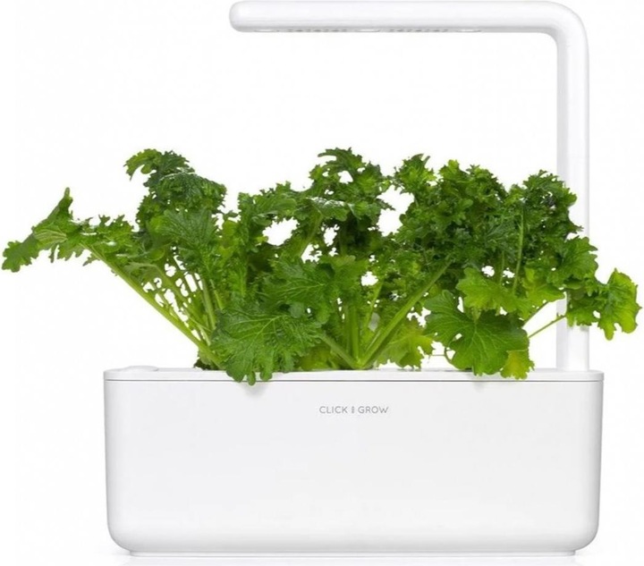 Immagine prodotto Click and Grow Semi Wasabi Mustard 3-Pack (Semi di erbe)