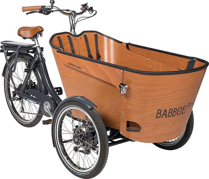 Babboe Carve/Flow