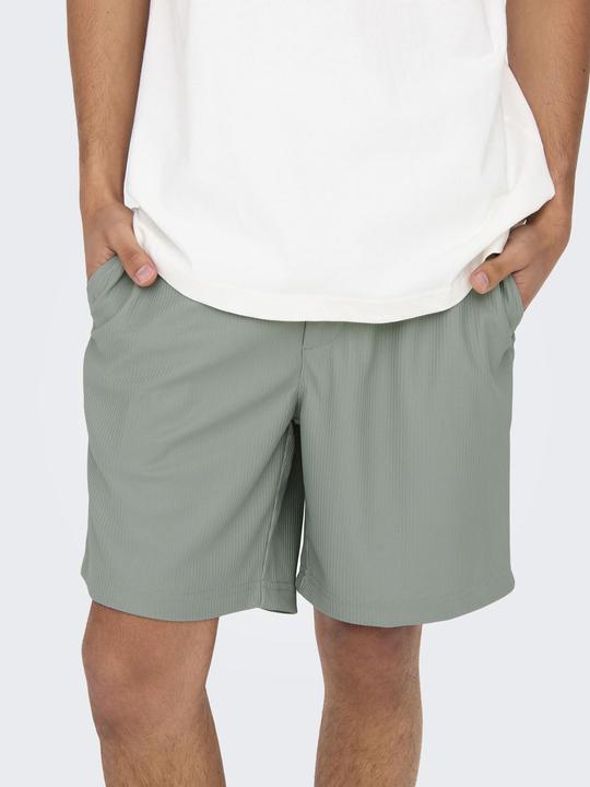 Actual product image Only & Sons Onstel Life Plizze Shorts Noos (XL)