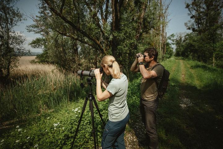 Immagine prodotto Bushnell Nitro (20x, 65 mm)