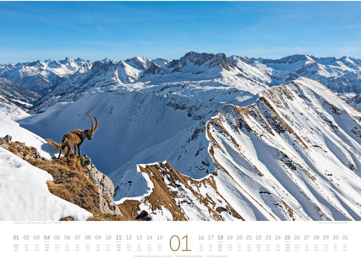 Image du produit Naturparadies Alpen Kalender 2026 (54 x 42 cm, Couverture rigide, Anglais, Français, Allemand)