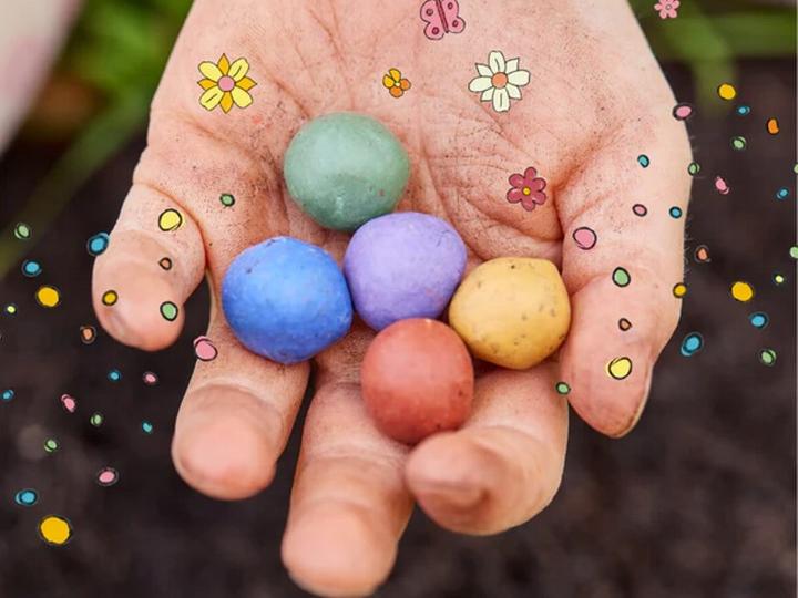 Actual product image Die Stadtgärtner Flower marbles - Colourful seedbombs in a tin (Flower seeds)