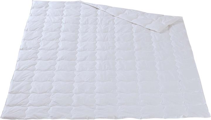 Immagine prodotto DOR Kalmia Classic (Piuma, 160 x 210 cm)