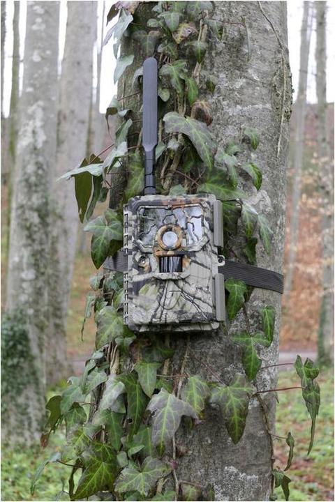 Actual product image Reviermanager Game camera RM4eco