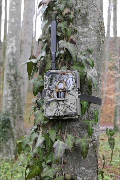 Productafbeelding Reviermanager Wildcamera RM4eco