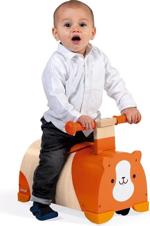 Actual product image Janod Roll chute hamster