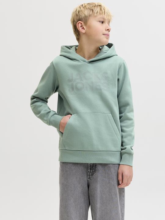 Produktbild Jack & Jones Jjecorp Logo Sweat Hood Noos Jnr (152)