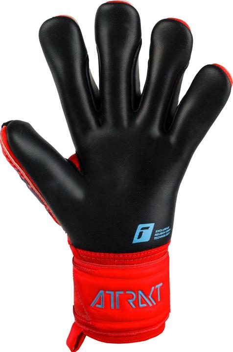 Produktbild Reusch Attrakt Gold X (5.5)