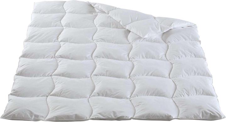 Image du produit DOR Camelia Pro (880 g, Duvet, 200 x 210 cm)