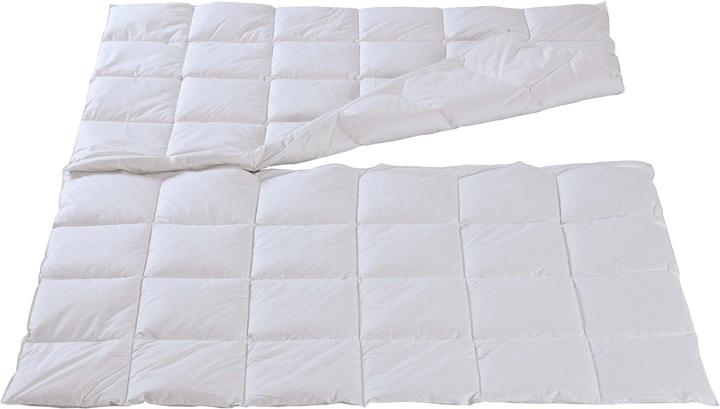 Actual product image DOR Corydalis Classic (870 g, 160 x 240 cm)
