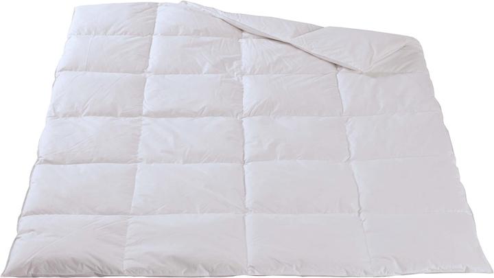 Immagine prodotto DOR Margarit Classico (1519 g, 240 x 240 cm)