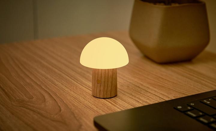 Immagine prodotto Gingko Alice Mushroom Lamp (1700 lm)
