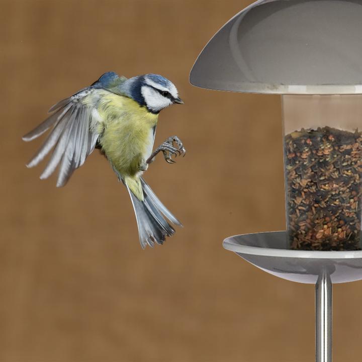 Produktbild Relaxdays Vogelfutterspender