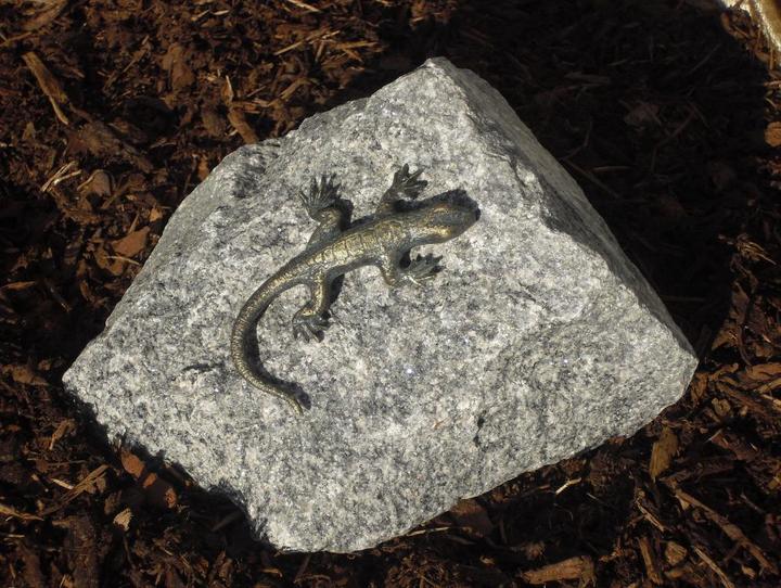 Neogard Lizard on Black Forest granite