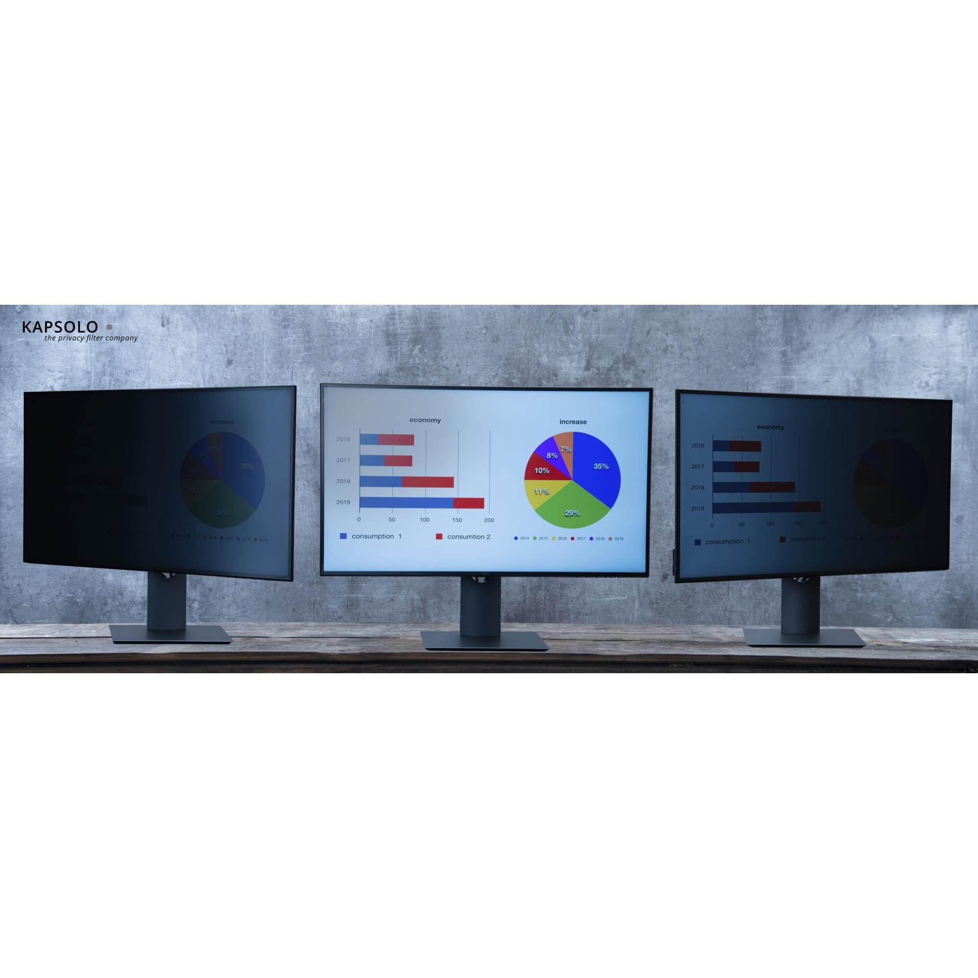 Kapsolo 2 Way Plug In (17", 16 : 10), Notebook Schutzfolie