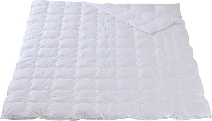 Image du produit DOR Fuchsia Classic (300 g, Duvet, 160 x 210 cm)