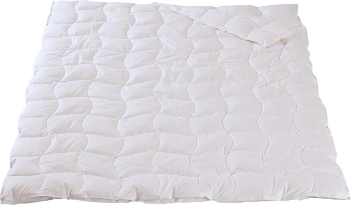 Image du produit DOR Fuchsia Pro (350 g, Duvet, 200 x 210 cm)