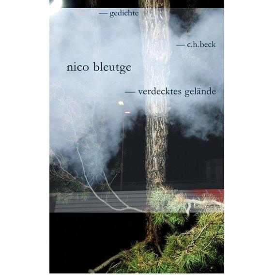 Verdecktes Gelände, Belletristik von Nico Bleutge