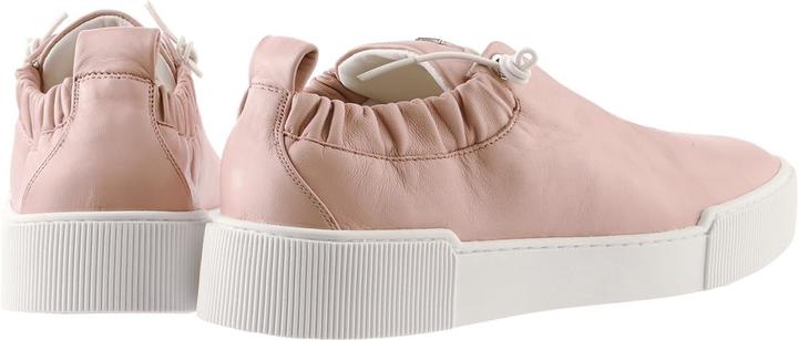 Image du produit Högl Pure Powder (36)