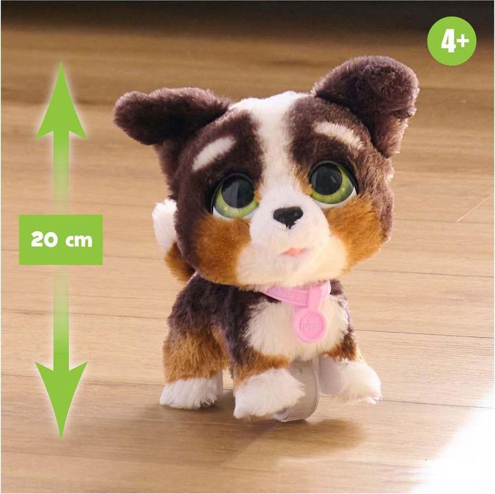 Actual product image FurReal Walk-A-Lots Bernadoodle (23 cm)