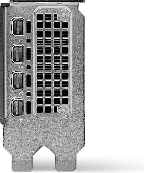 Actual product image PNY Quadro RTX 2000 ADA 16GB GDDR6 4xmDP (16 GB, GDDR6)