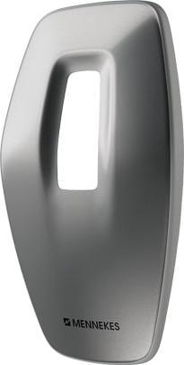 Moon Silver