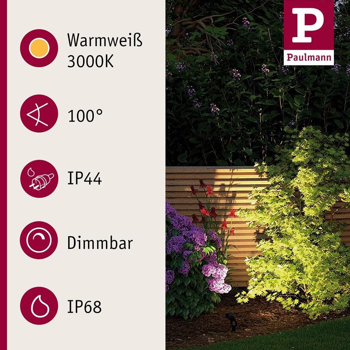 Actual product image Paulmann Plug & Shine Basisset Sting (520 lm, IP67)