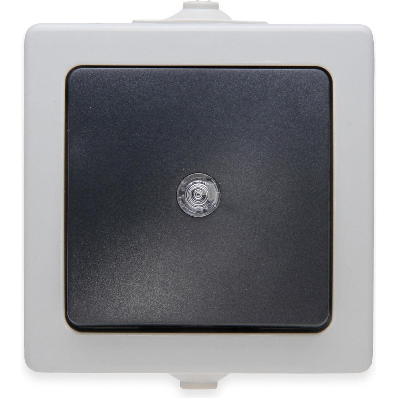 Kopp Nautic Aufputz-Feuchtraum Taster 10AX IP44 mit Linse, Taster + Schalter, Grau