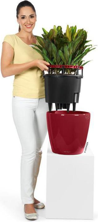 Produktbild Lechuza Classico (36 cm)