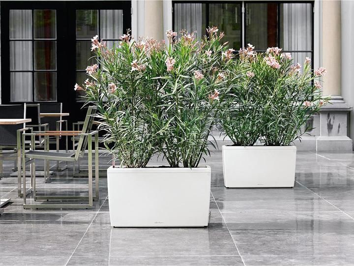 Produktbild Lechuza Cararo (75 x 30 x 43 cm)