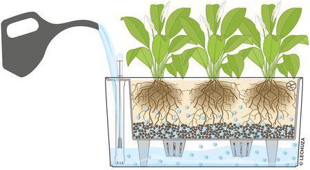 Produktbild Lechuza Delta (40 x 15 x 18 cm)