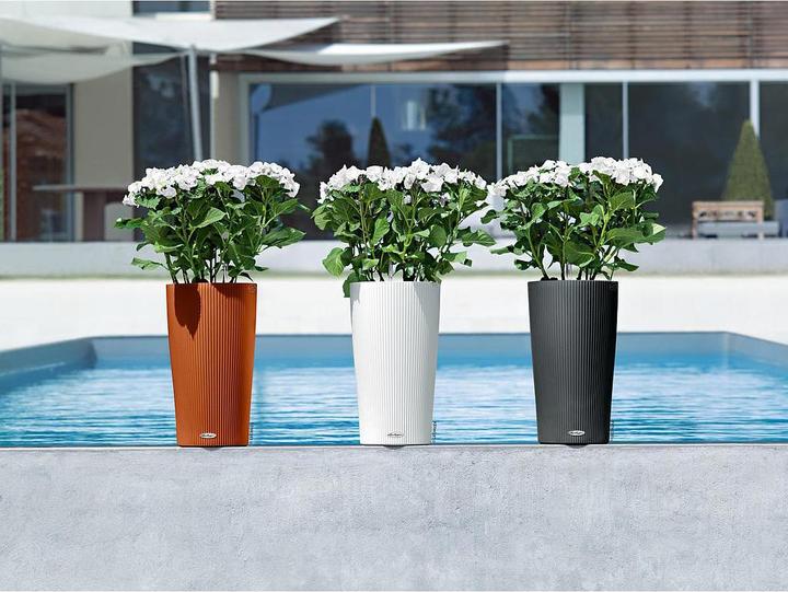 Actual product image Lechuza Cilinro Color 23 (23 cm)