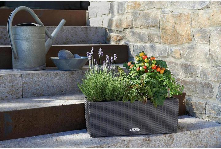 Actual product image Lechuza Flowerpot Balconera Cottage 50 (50 x 19 x 19 cm)