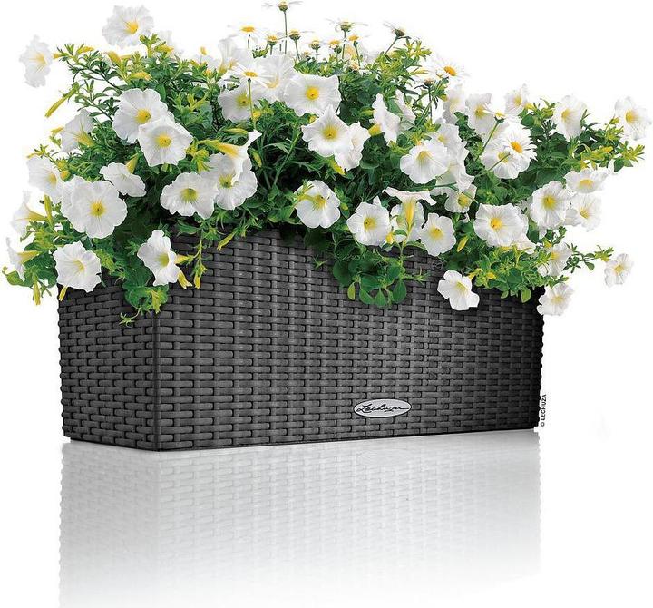 Actual product image Lechuza Balconera Cottage (19 cm)