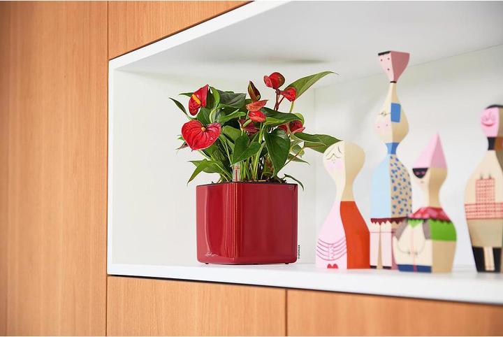 Produktbild Lechuza Cube Glossy 14 (14 x 14 x 14 cm)