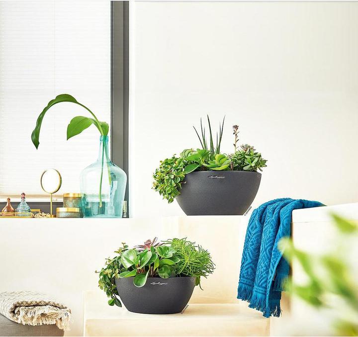 Produktbild Lechuza Cubeto 40 (40 x 18.30 cm)