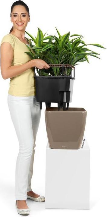 Produktbild Lechuza Quadro Ls (22.50 x 22.50 x 20.50 cm)