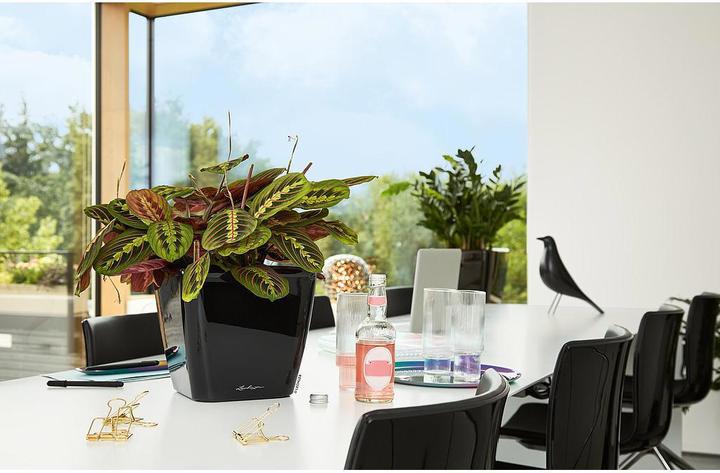 Produktbild Lechuza Quadro Ls (22.50 x 22.50 x 20.50 cm)