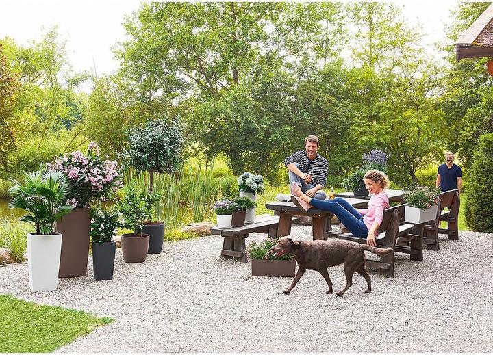 Actual product image Lechuza Classico Color