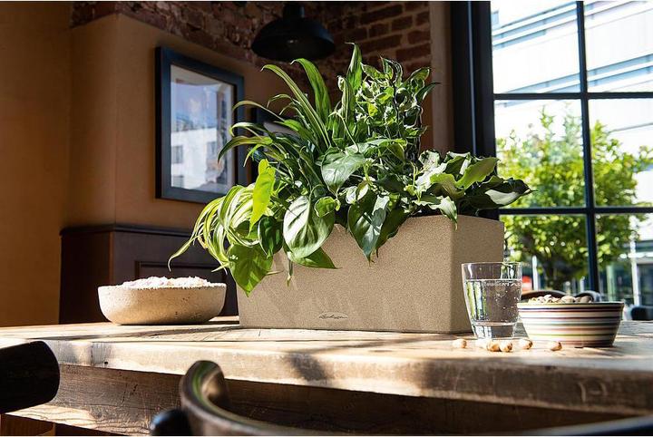 Image du produit Lechuza Balconera Stone (50 x 19 x 19 cm)