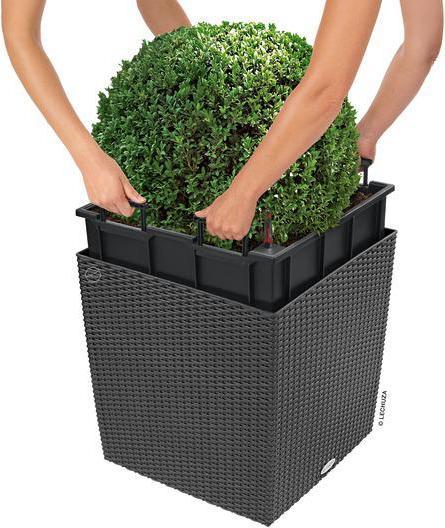 Actual product image Lechuza Cube Cottage (49 x 49 x 49.50 cm)