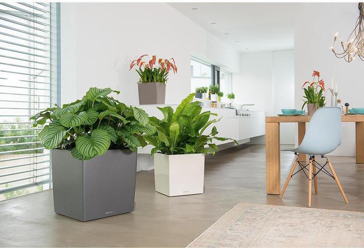 Produktbild Lechuza Cube (49 x 49 x 49.50 cm)